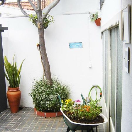 The House Villa Funchal Dış mekan fotoğraf