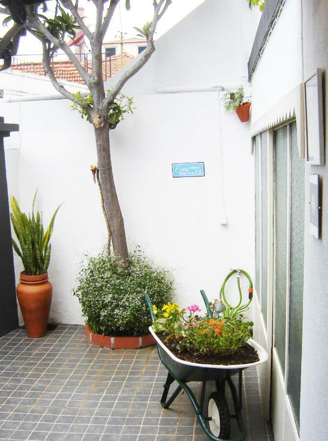 The House Villa Funchal Dış mekan fotoğraf